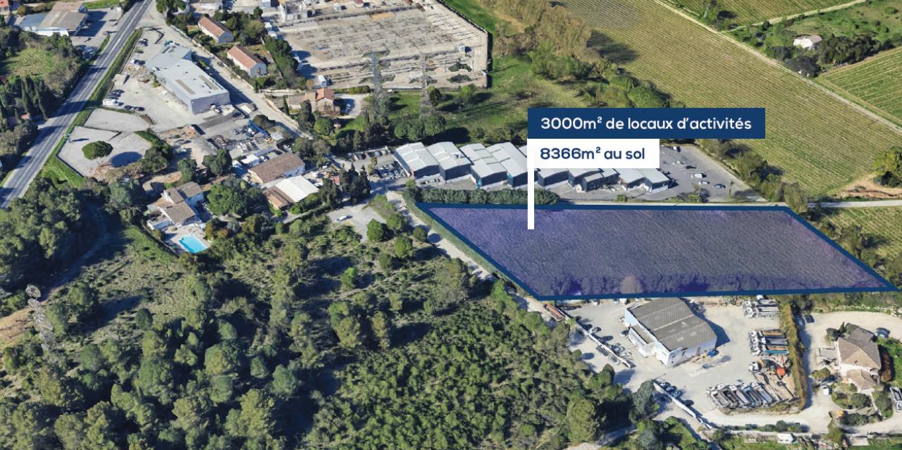Local d'activité Saint-Jean-de-Védas 3500m² Vente local d'activité Saint-Jean-de-Védas Hérault OVACT2531832 1